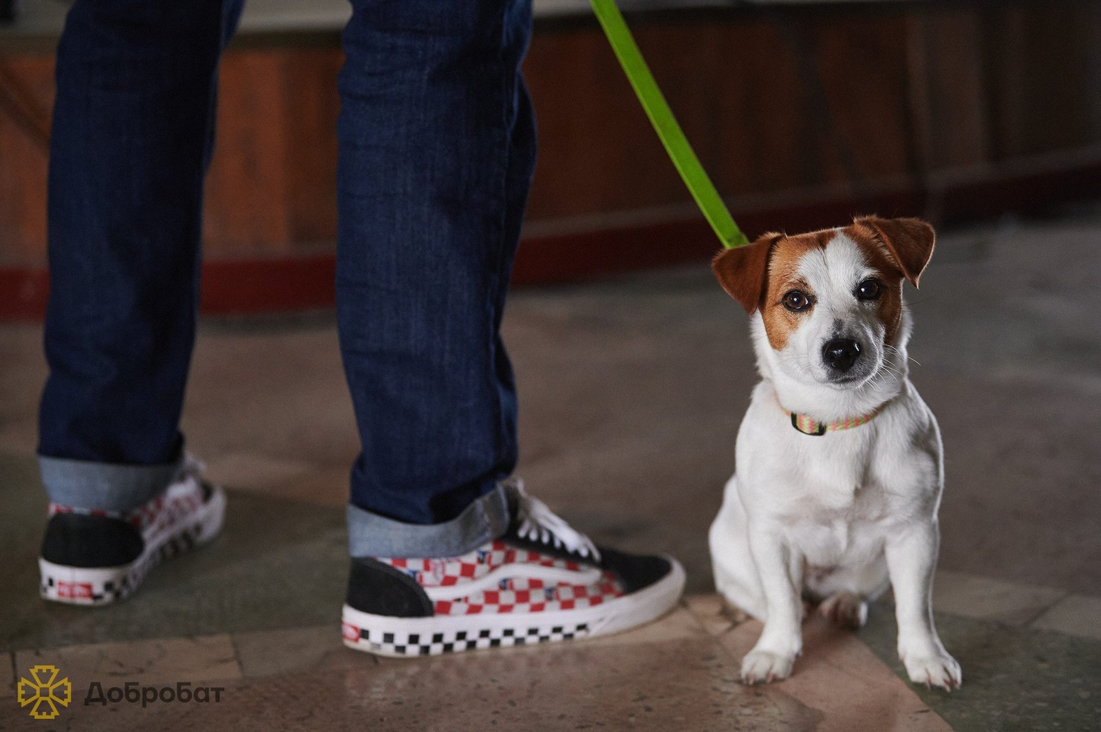 Співак та шоумен Коля Сєрга виступив для волонтерів будівельного батальйону «Добробат»