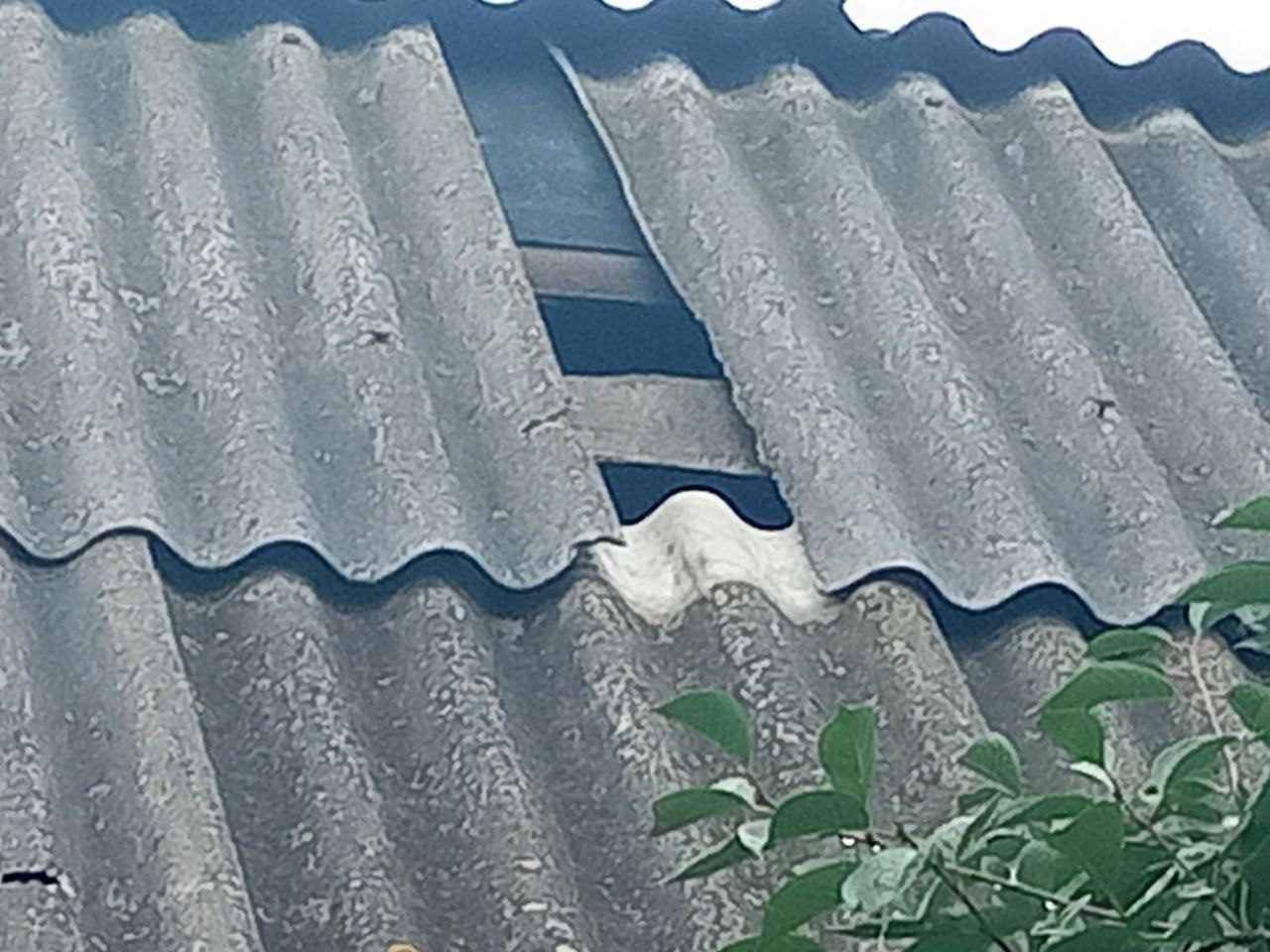 Пошкоджено приватний будинок  в с. Горенка