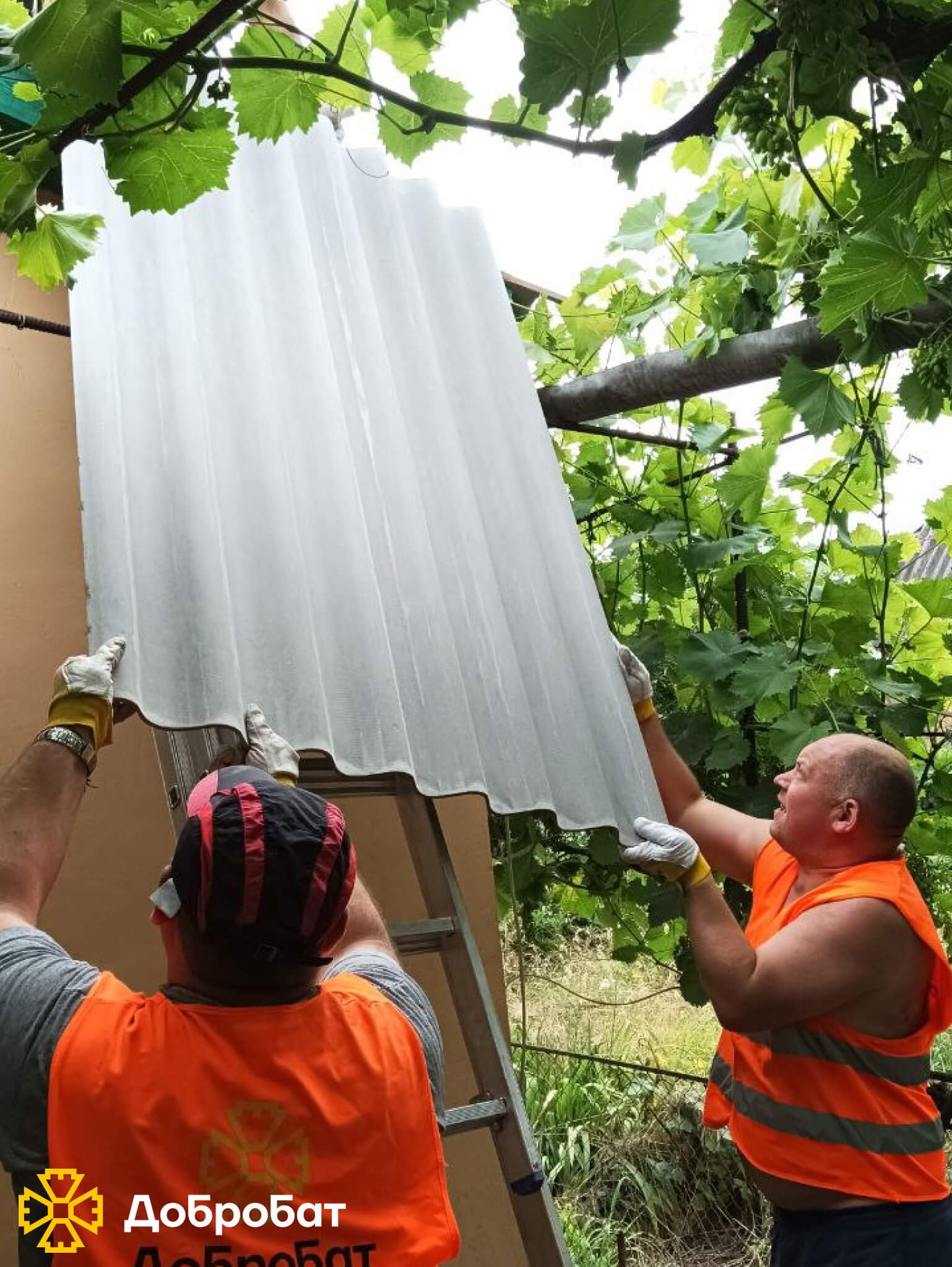 Потужна волонтерська команда та взаємодопомога рухають зміни в країні: звітуємо про тиждень відбудови